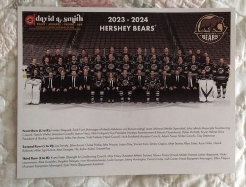 Hershey bears new - new, picture